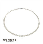 Filo di Perle Akoya FSM 117 B COMETE GIOIELLI